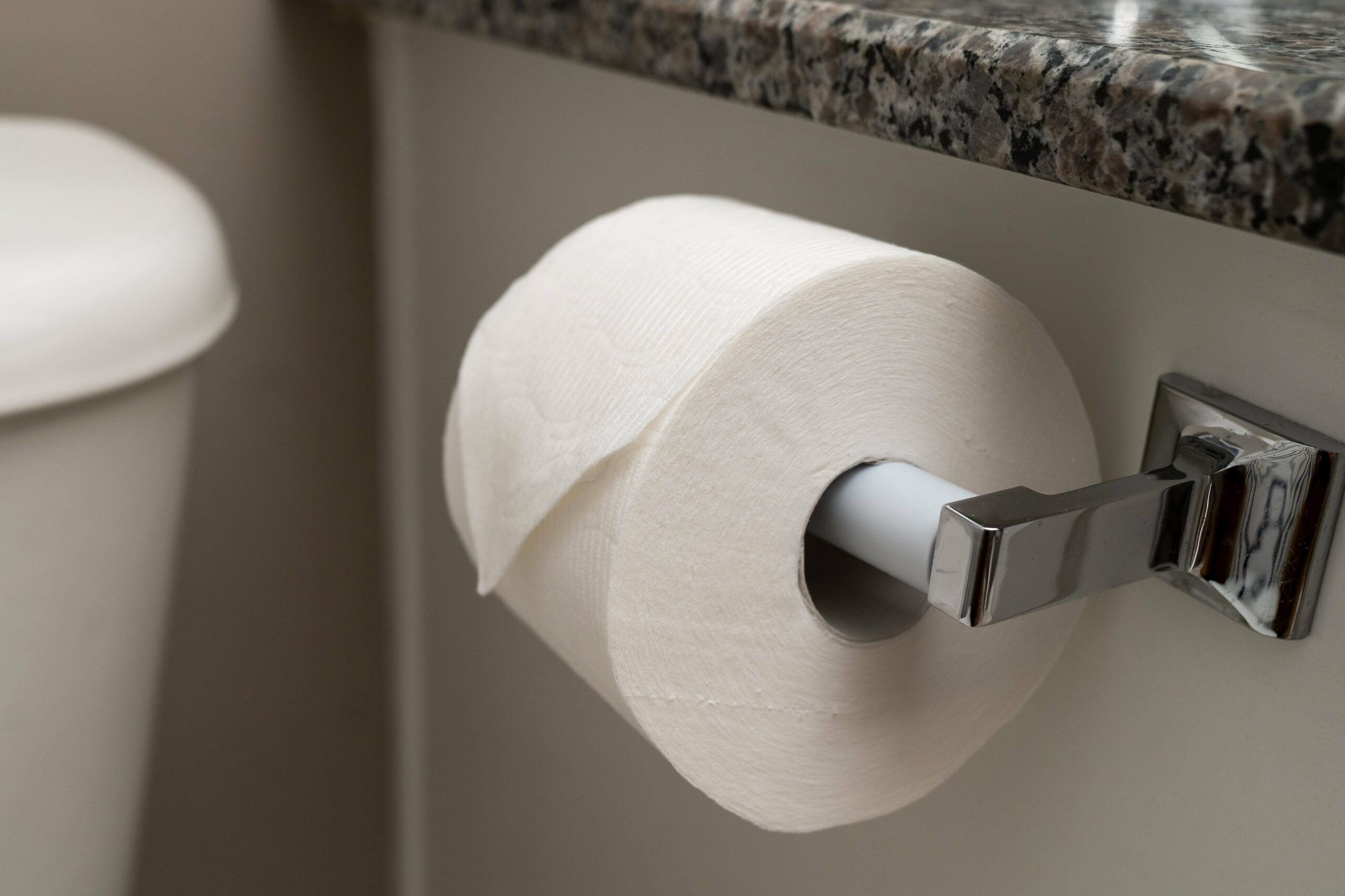 Embellishing Your Bathroom A Guide to Toilet Tissue Covers