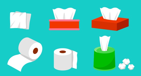 The Evolution of the Toilet Paper Box From Humble Beginnings to Modern Convenience