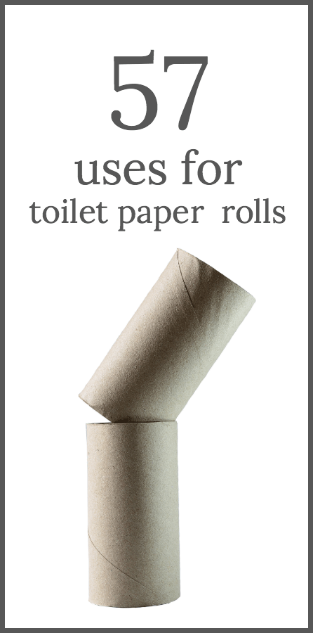 Toilet Paper The Indispensable Roll