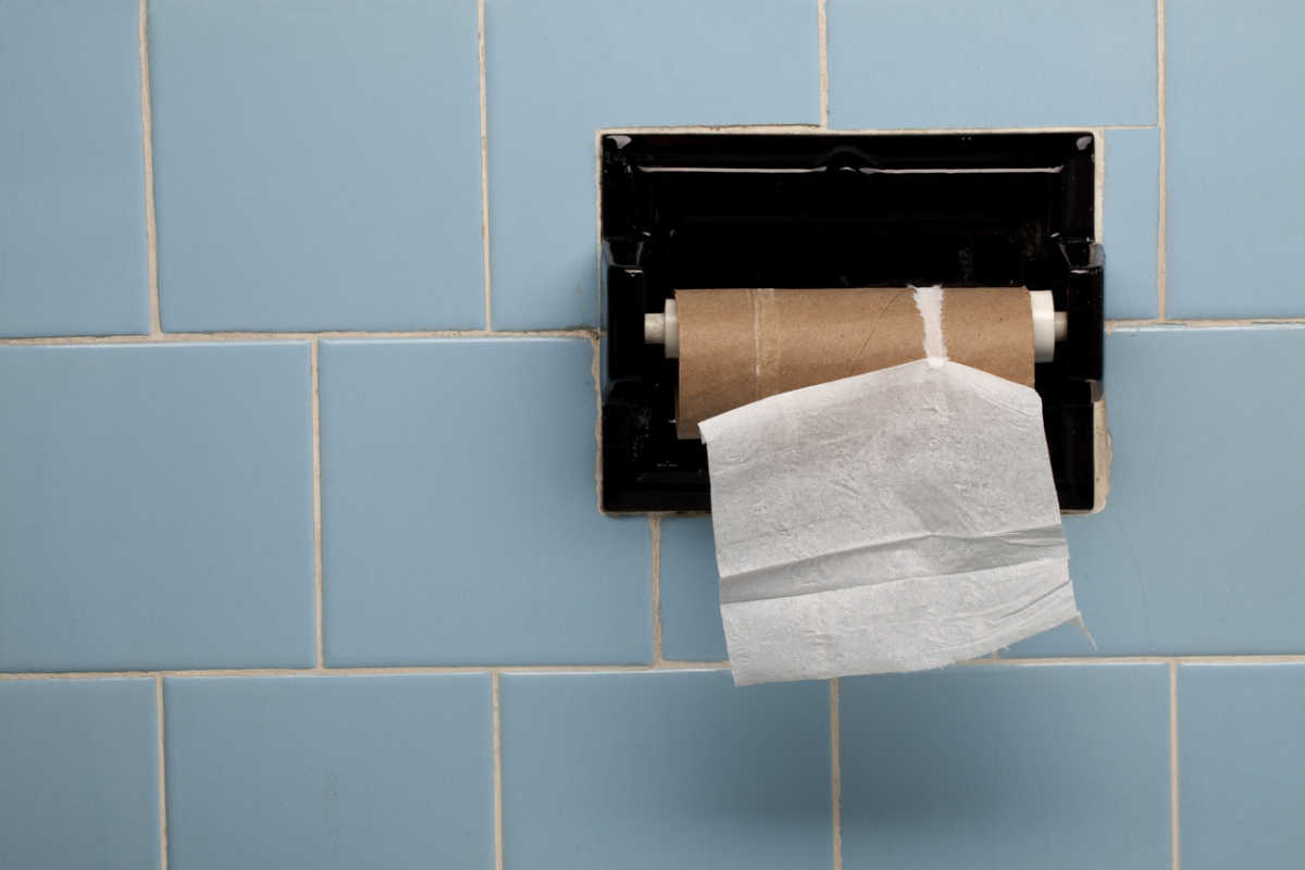 Toilet Paper Usage A History and Cultural Perspective